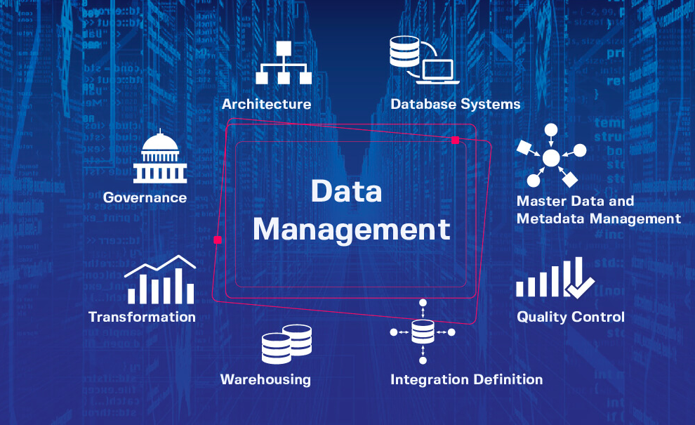 Everything You Need to Know About Data Management